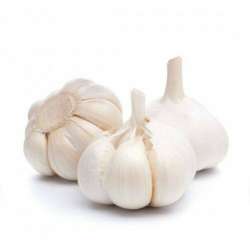 Garlic 4 Bulb Pack Small size