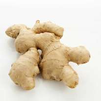 Ginger - Large Root Hybrid