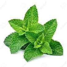 Mint Leaves: Bundle