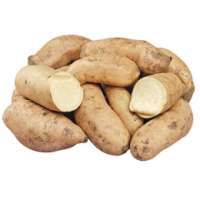 Sweet Potatoes - White