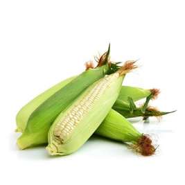 Maize Fresh