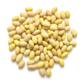 Beans Dried - Yellow