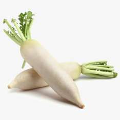 Radish - White