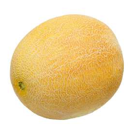 Sweet Melon