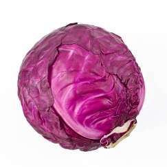 Cabbage Red: Medium