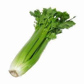 Celery: Medium