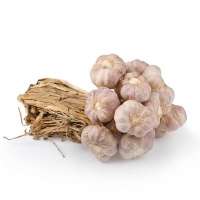 Garlic - Local