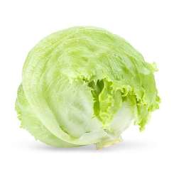 Lettuce: Small
