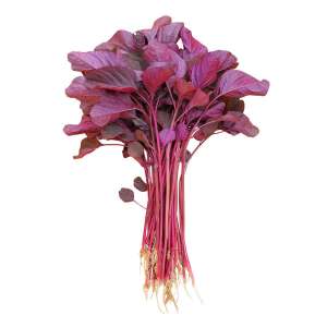 Bugga- Red Amaranth- Chopped