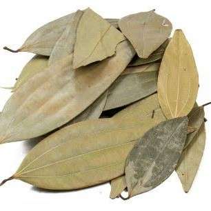Cinnamon Leaves