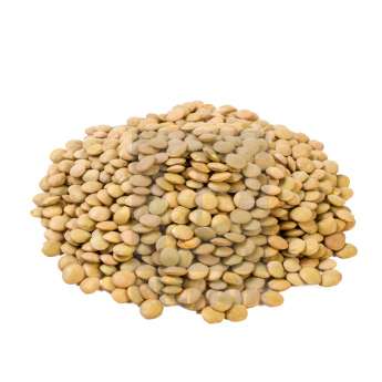Lentils