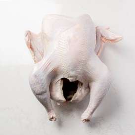 Turkey- Freshly Cut Male