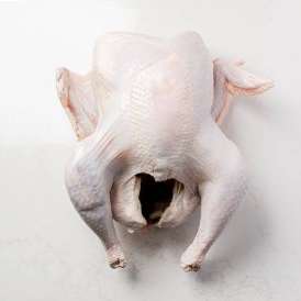 Turkey Freshly Cut Female