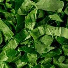 Sukuma Wiki: Chopped