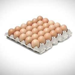Eggs- Local- Free Range