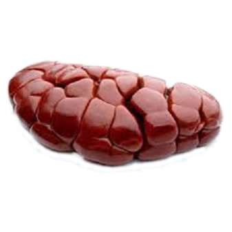 Beef - Kidney
