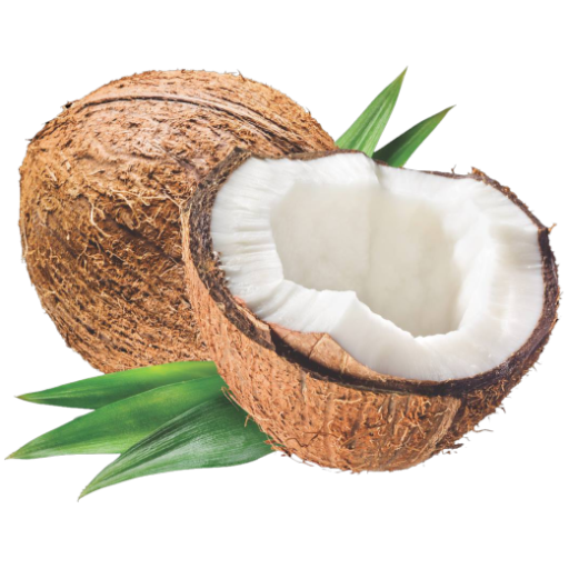 Coconut