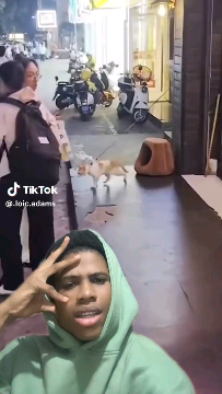 weeeeee