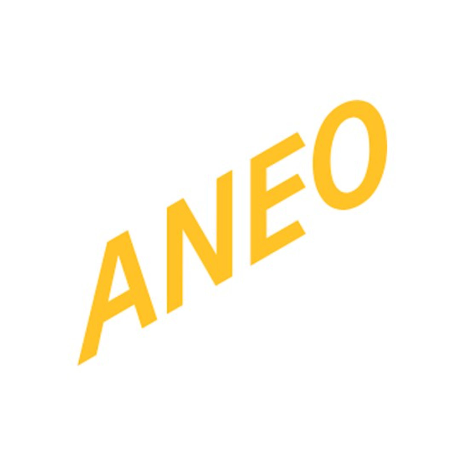 Sponsor Aneo