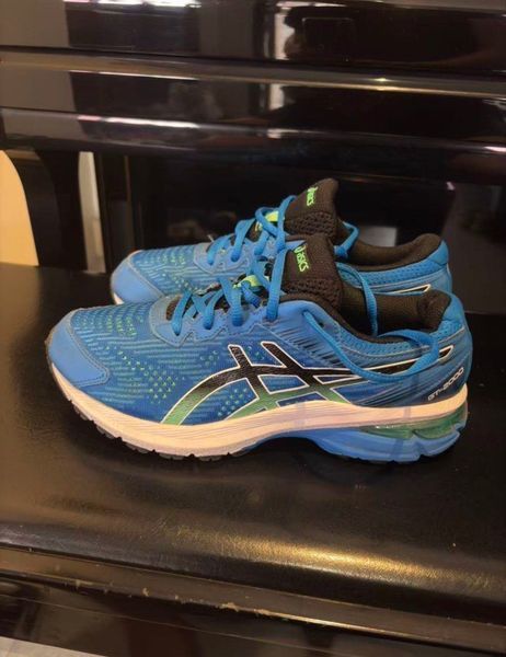 ASICS GT-2000 Blue Running Shoes