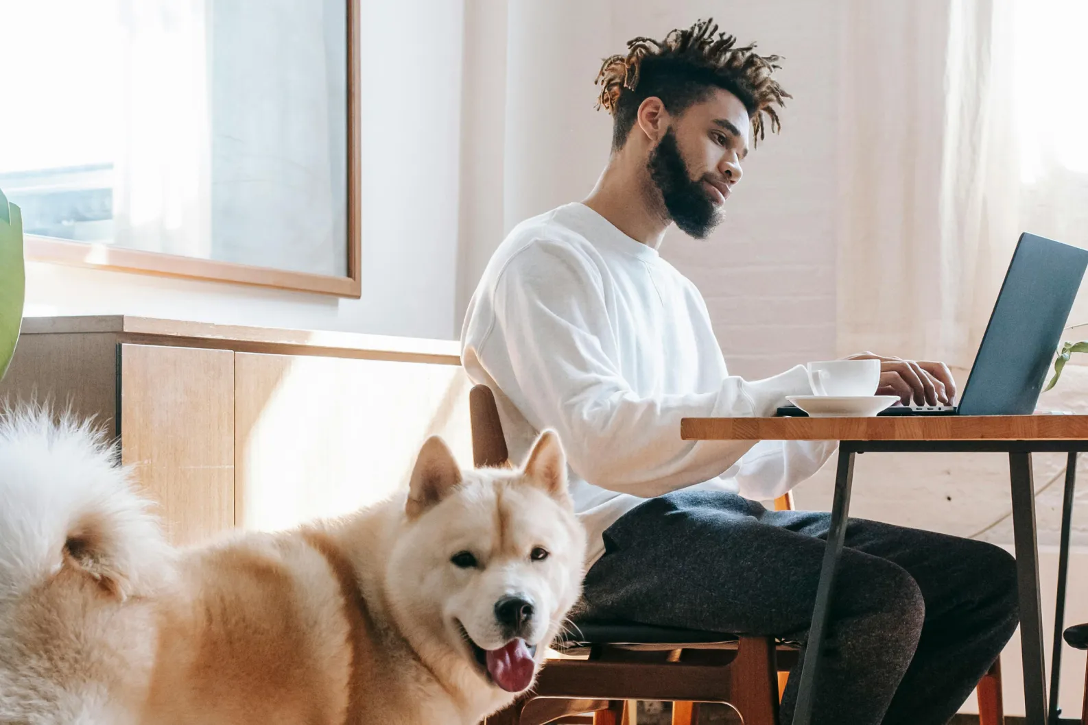 Pet Benefits Programs for Employees: How Companies Are Supporting Pet Parents with Virtual Vet Care