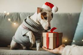 Best Christmas Gifts for Dogs and Dog Lovers in 2025