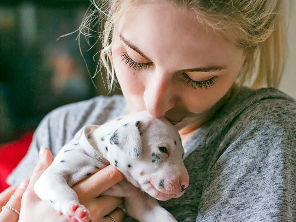 What is the Best Dewormer for Puppies? | Telavets