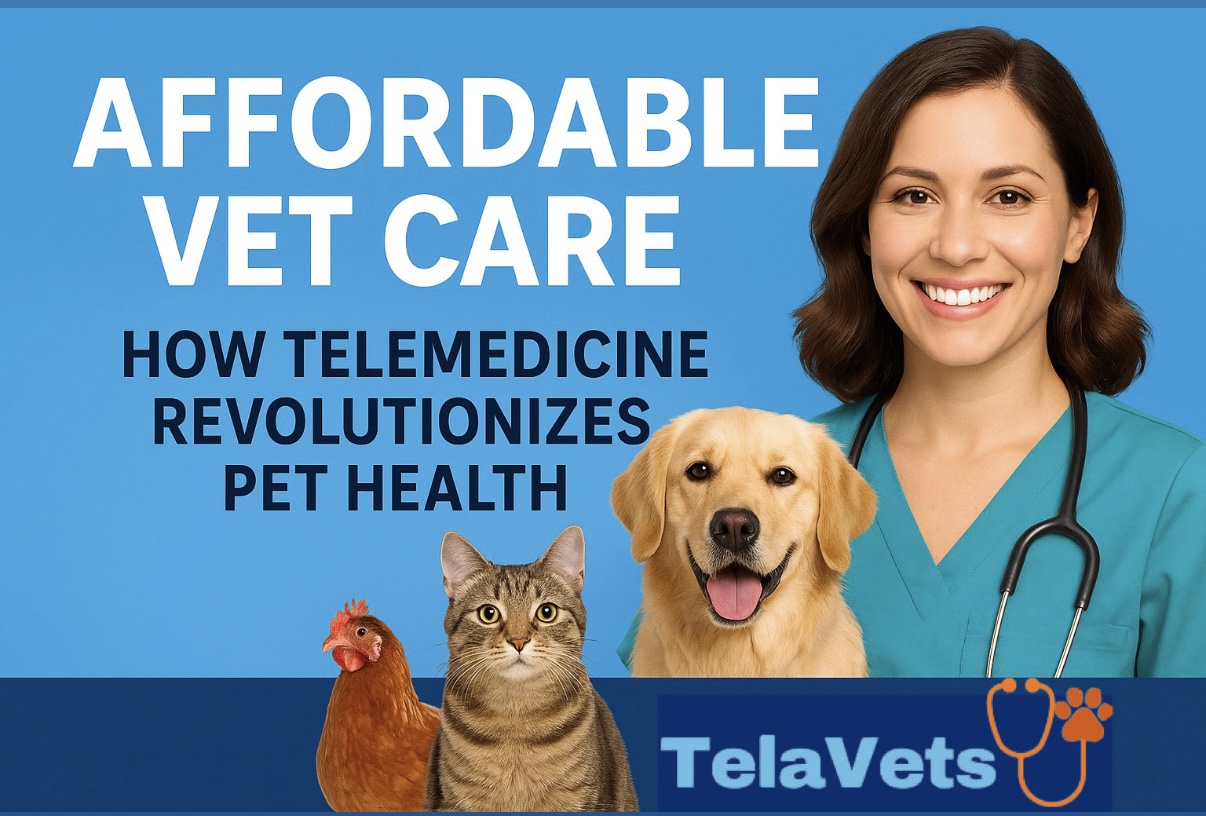 Affordable Vet Care: How Telemedicine Revolutionizes Pet Health