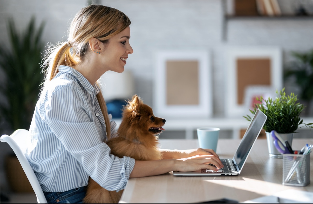 What Is a Virtual Vet and How Can It Help Your Pet?