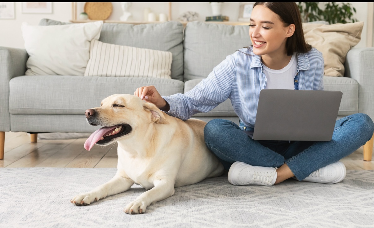 Why a Telemedicine Veterinarian May Be the Best Choice for Your Pet