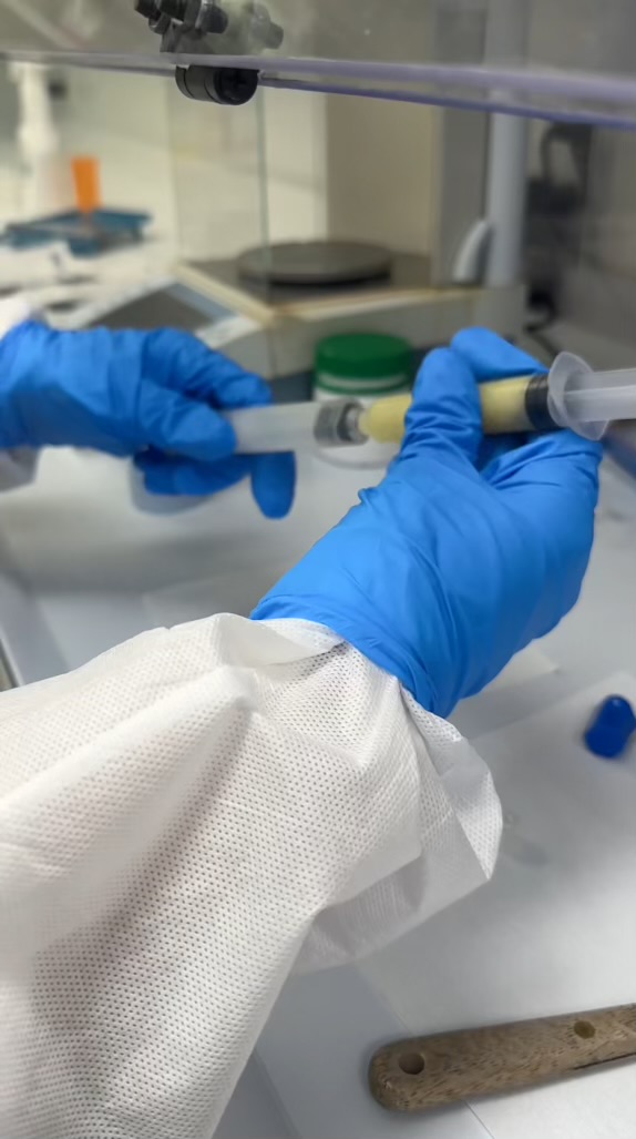 How Fast Can I Get Pet Medication Online?