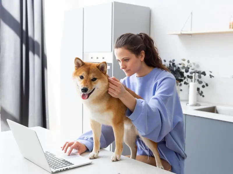 TelaVets: Why Must You Choose Us For Online Vet Care