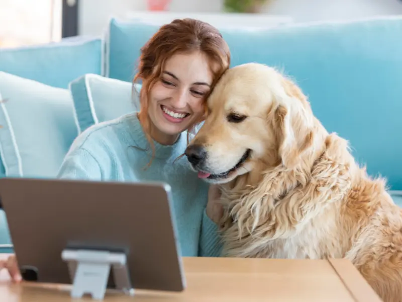 Online Vet Care: Revolutionizing Pet Health in the Digital Age