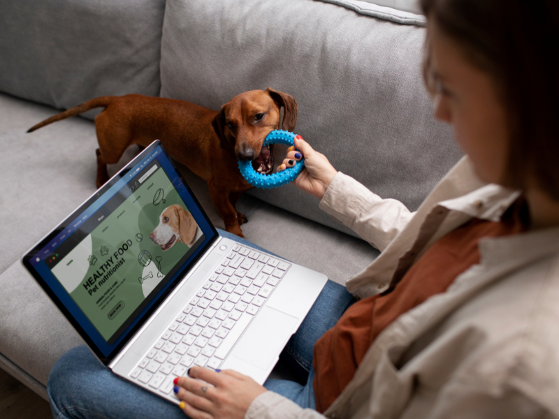 Things To Consider Before Opting For Online Vet Prescriptions