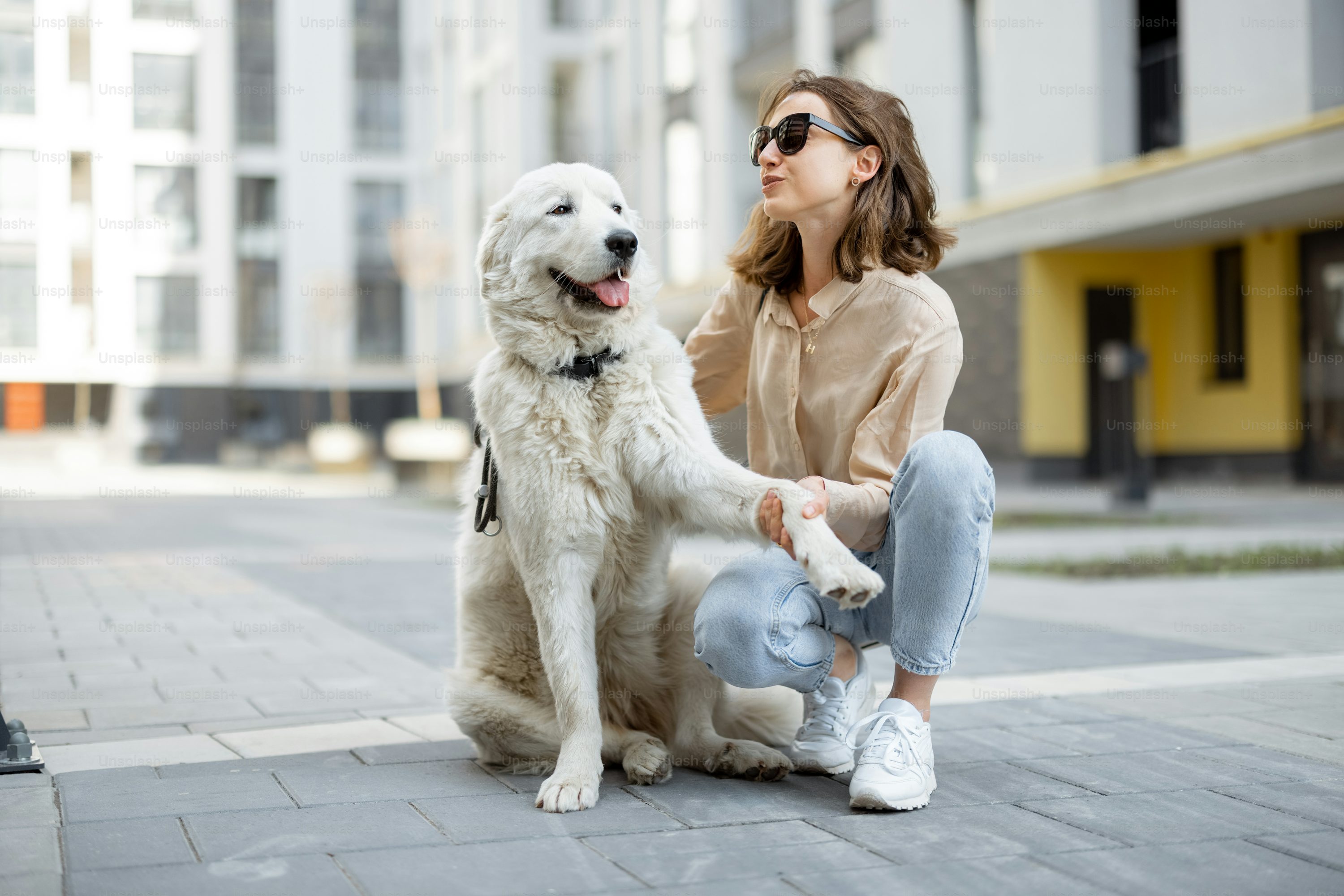 Top Benefits of Telemedicine for Pet Care