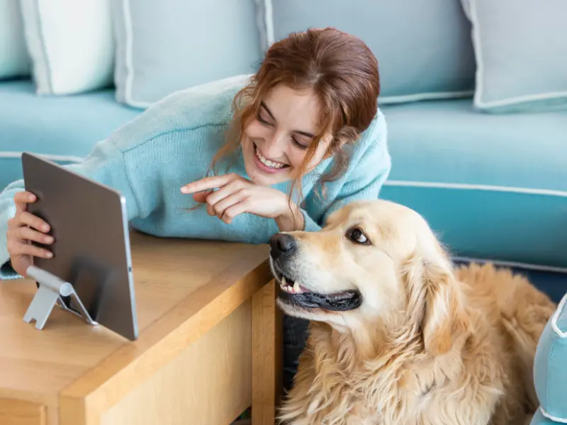 Your Vet, Just a Click Away: The Rise of Online Pet Care