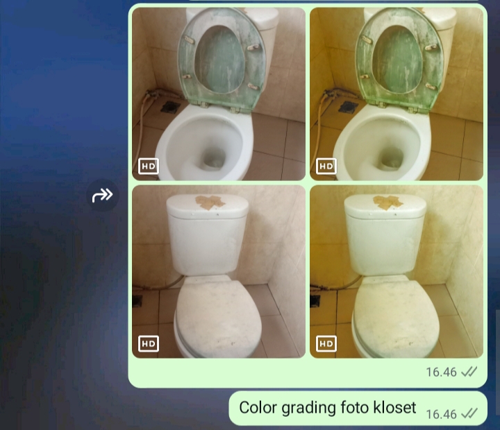 Sebuah cuplikan chat WA yang memperlihatkan 2 foto sebuah kloset sebelum dan sesudah di color grading 🎨