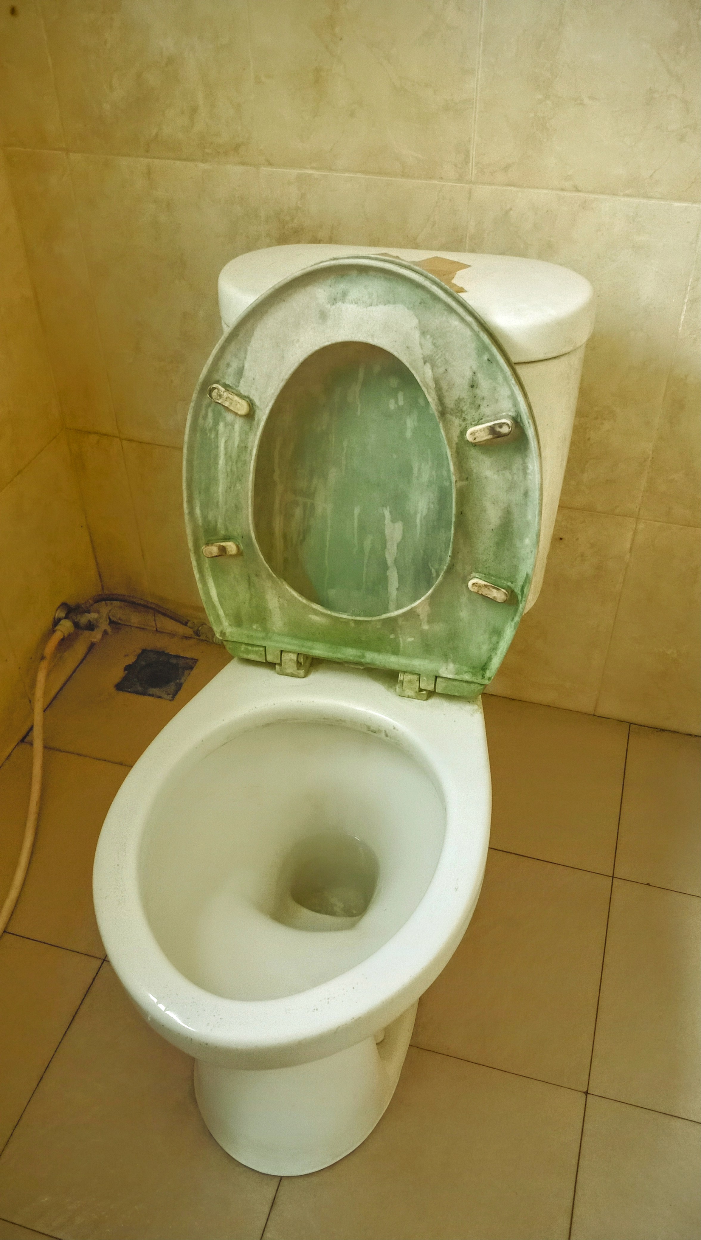 Sebuah foto kloset duduk yang sudah berjamur, namun diberi sentuhan color grading