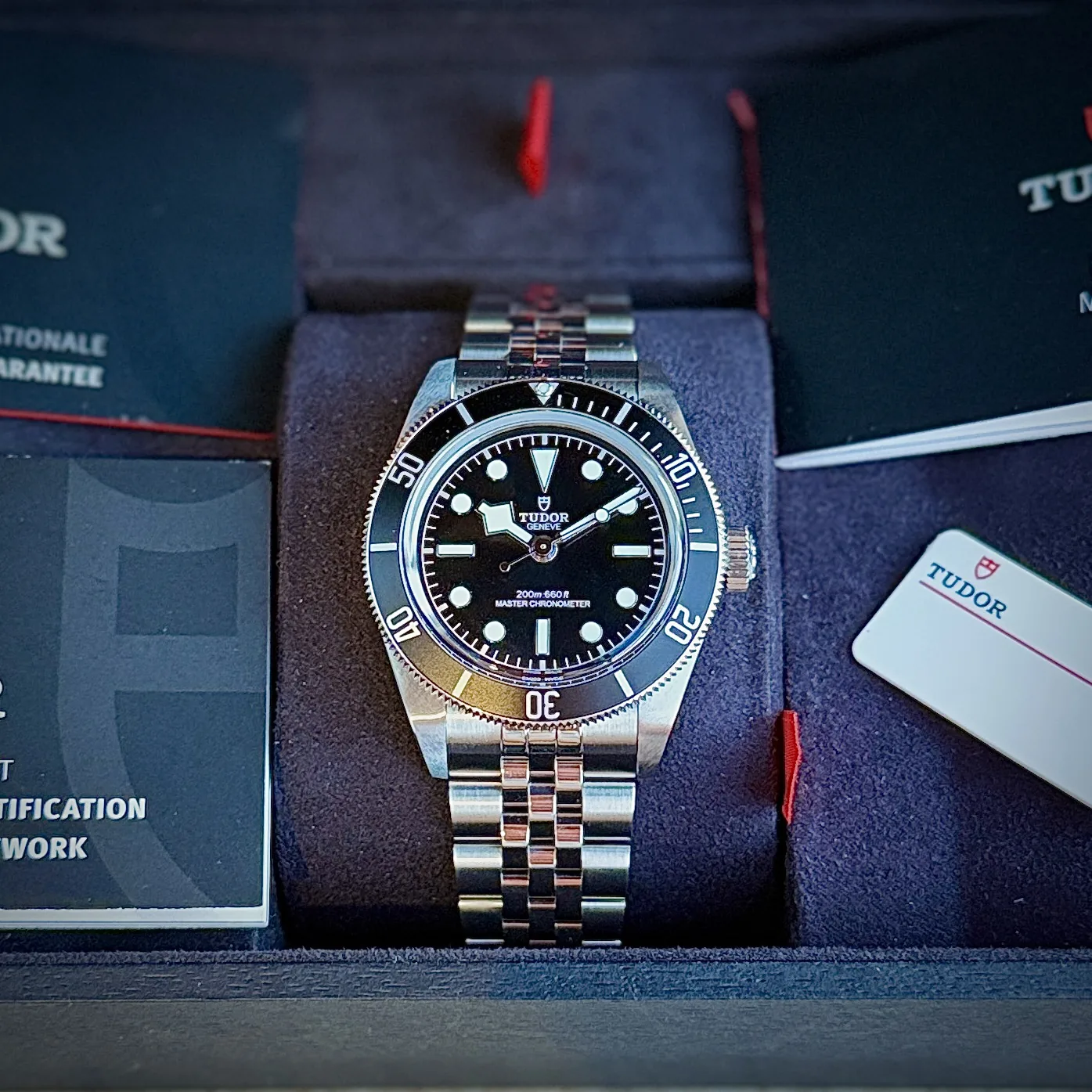 Tudor Black Bay Monochrome 41mm 2025
