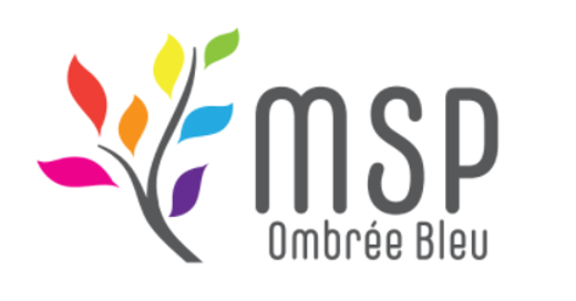 Logo MSP Ombrée Bleu.png