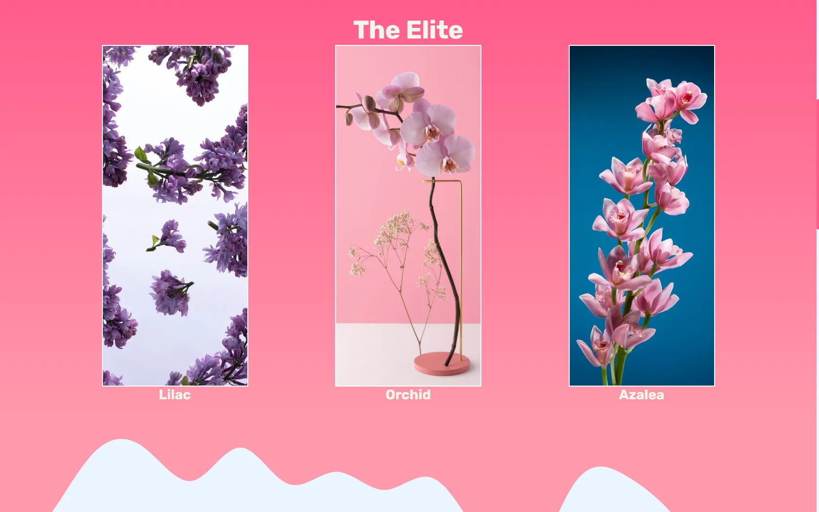 Vrose screenshot 2