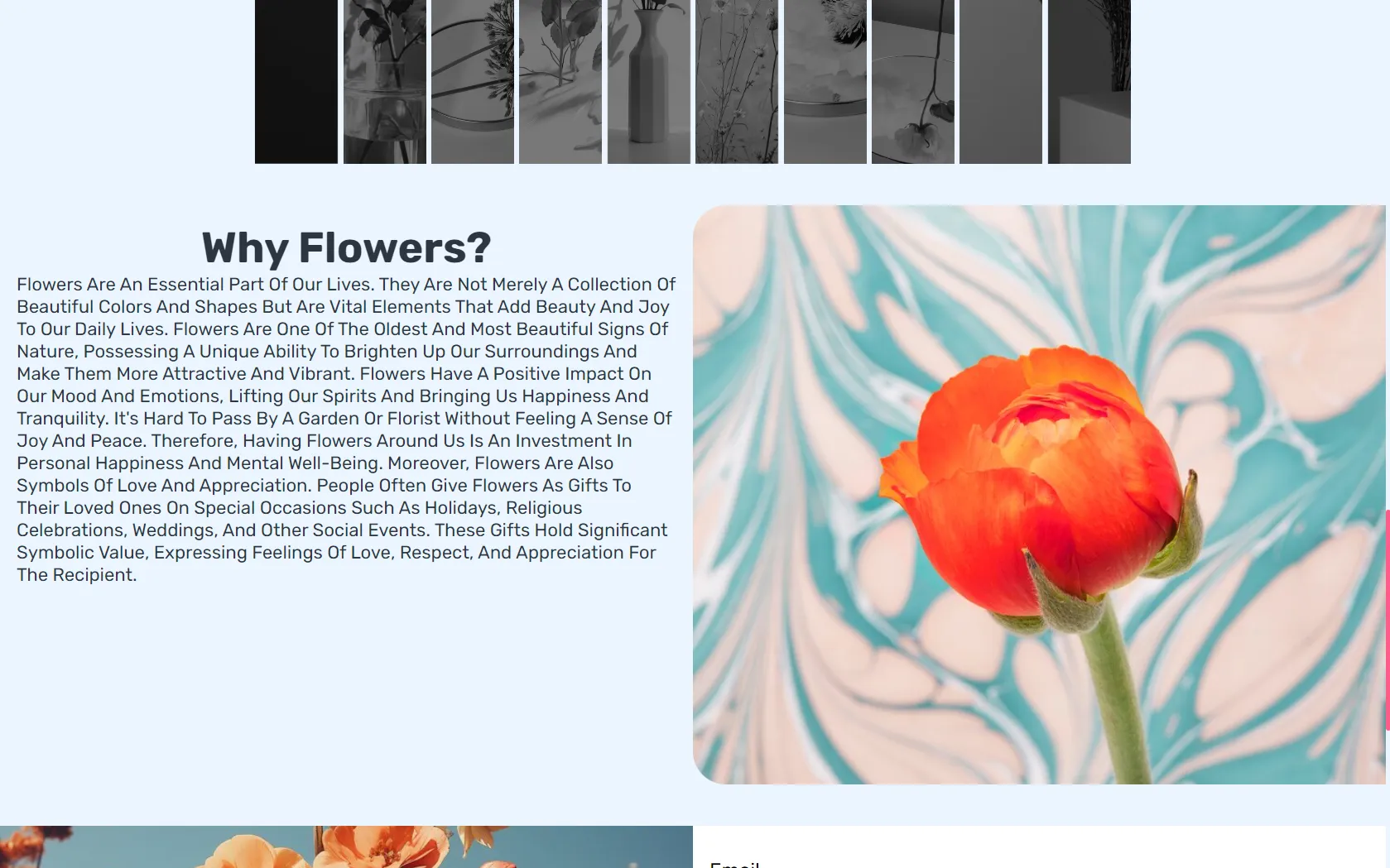 Vrose screenshot 5