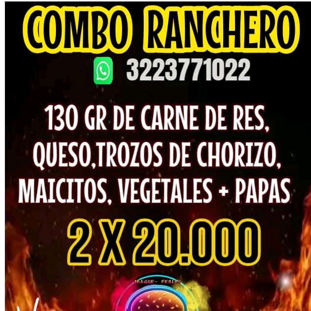 TOLIBURGER DOMICILIO 3223771022