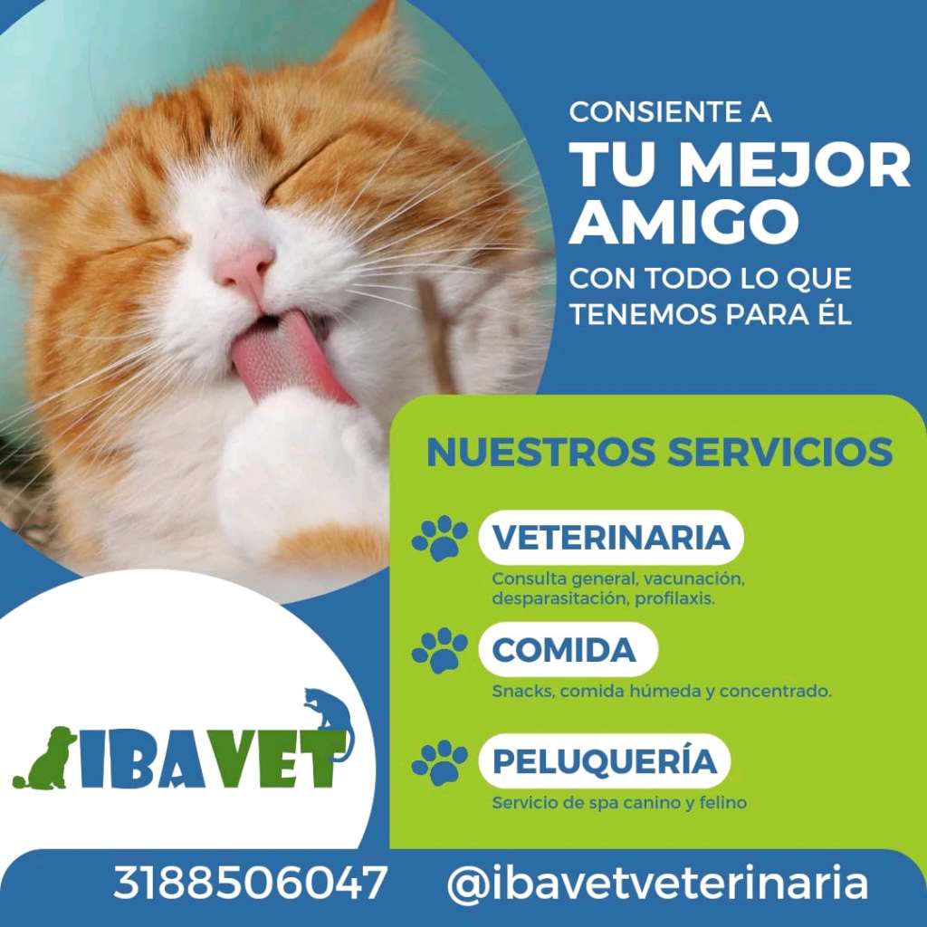Veterinaria IBAVET 