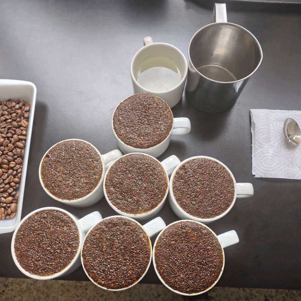 cafe aroma y sabor del Tolima 