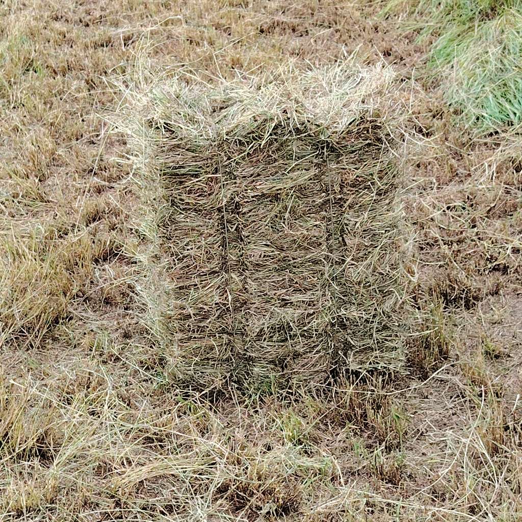 pastos y henos de buena calidad