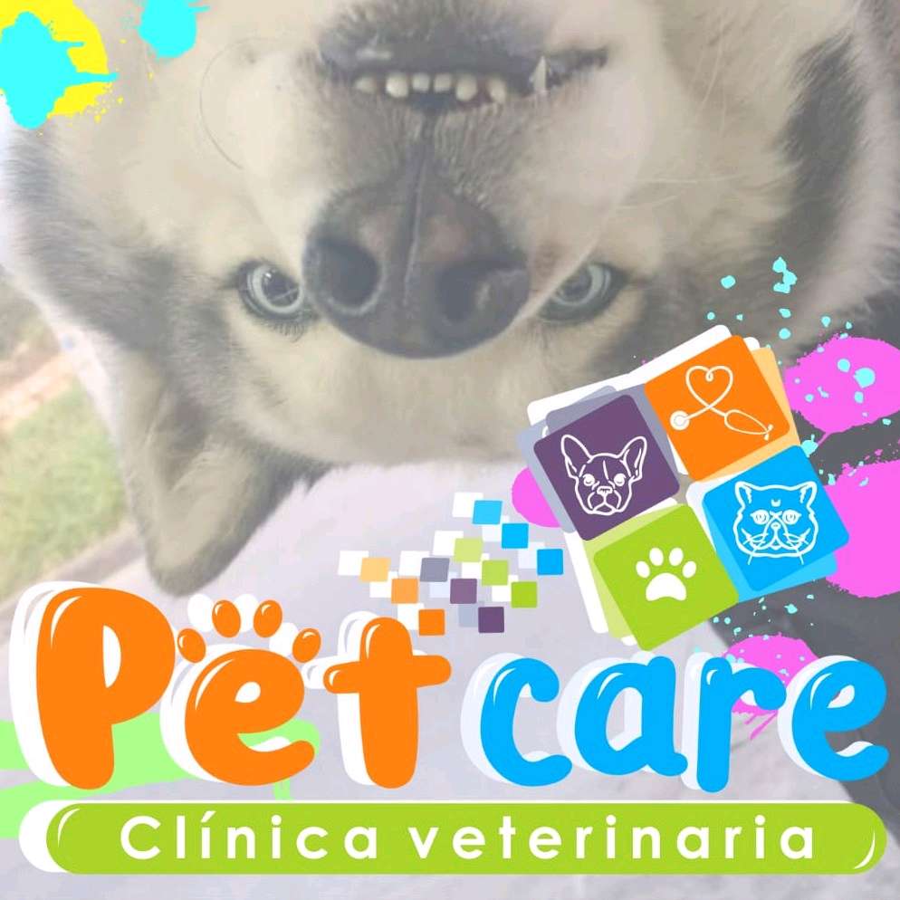 PetCare Clinica Veterinaria 