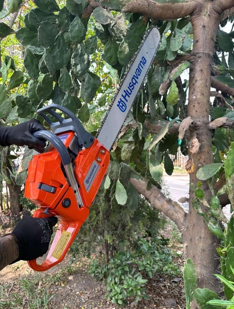 MOTOSIERRA HUSQVARNA 61 PROFESIONAL - 3