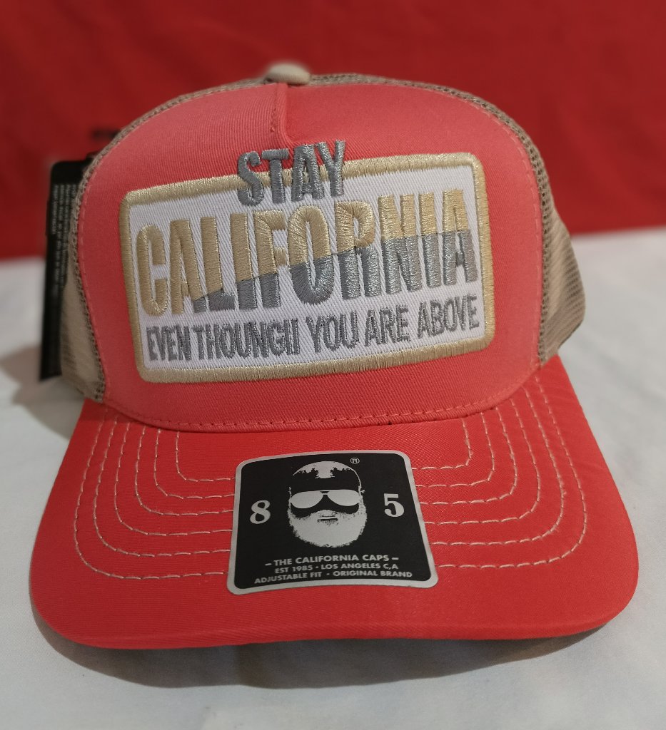 Gorras - 24