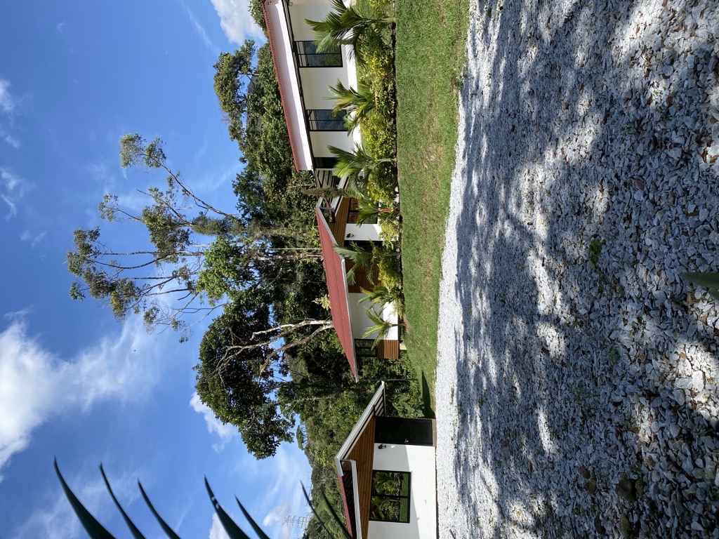 CABAÑAS SUITE - 4